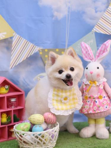 20240328ビビちゃん